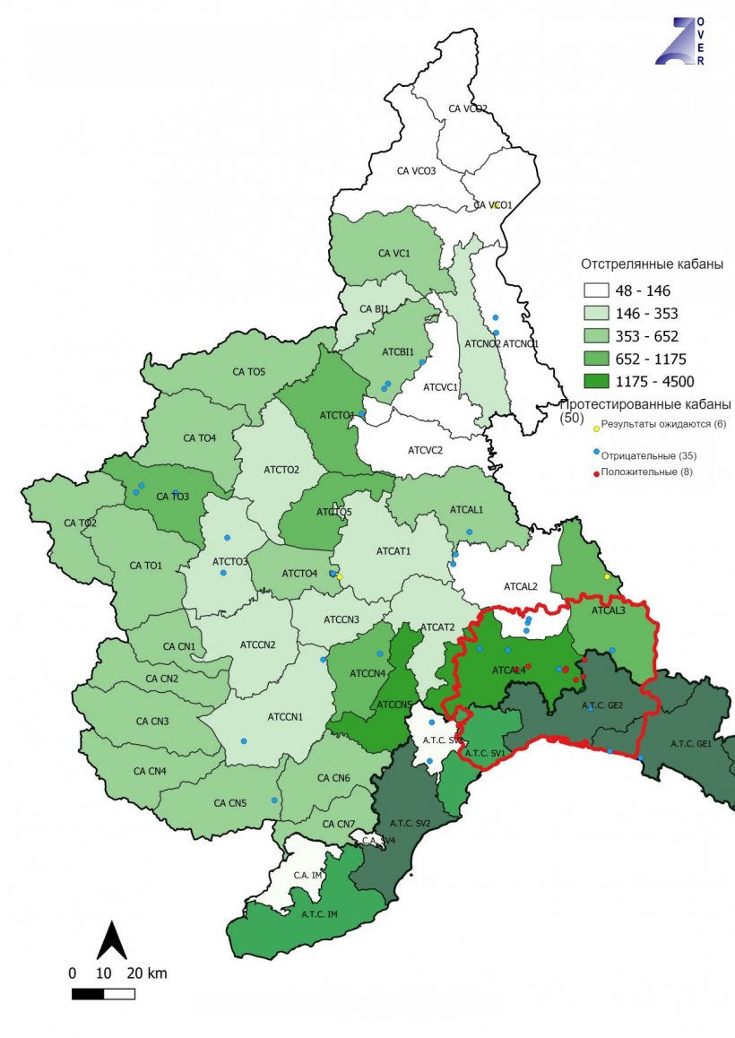 Животные положительно и отрицательно протестированные на АЧС в Пьемонте и Лигурии (Италия).&nbsp;Источник: IZSPLV
